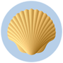 sea shell