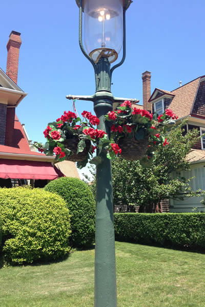 Victorian gas light with two hanging red geraniums and green landscaping